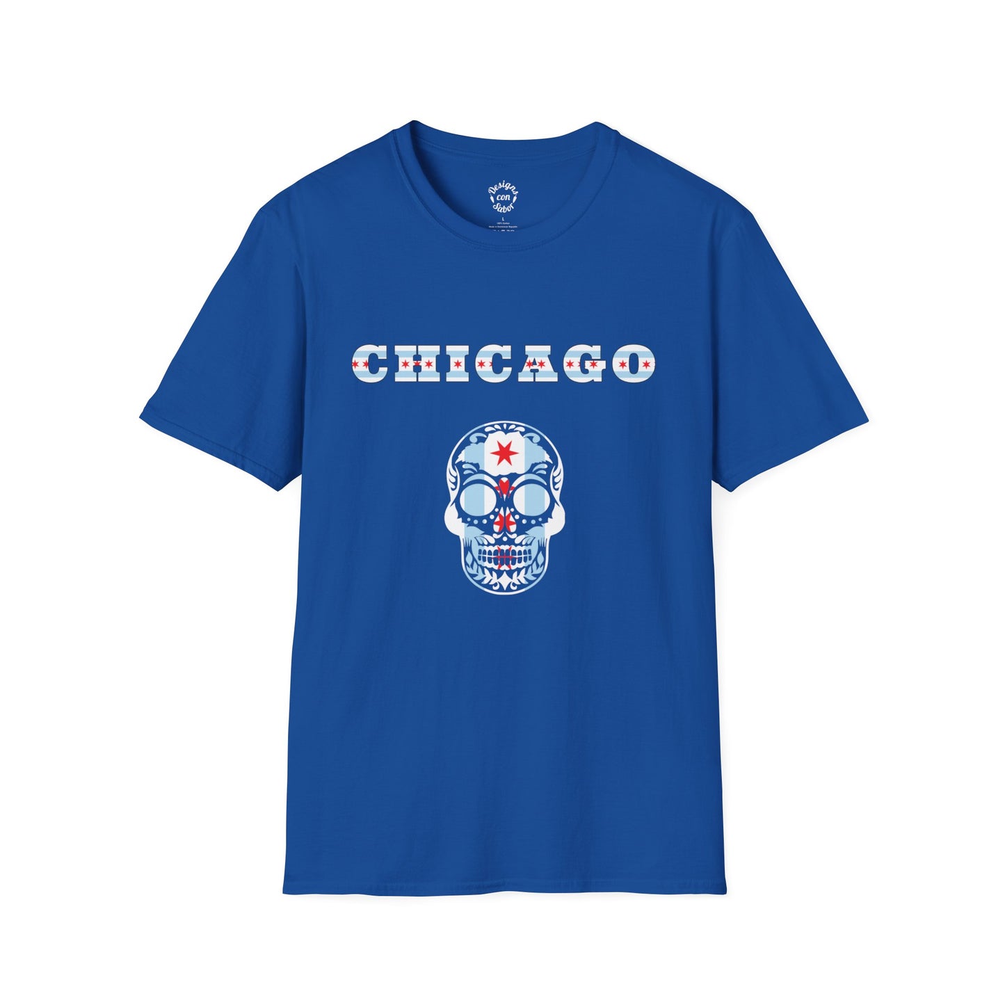 Chicago Flag & Skull