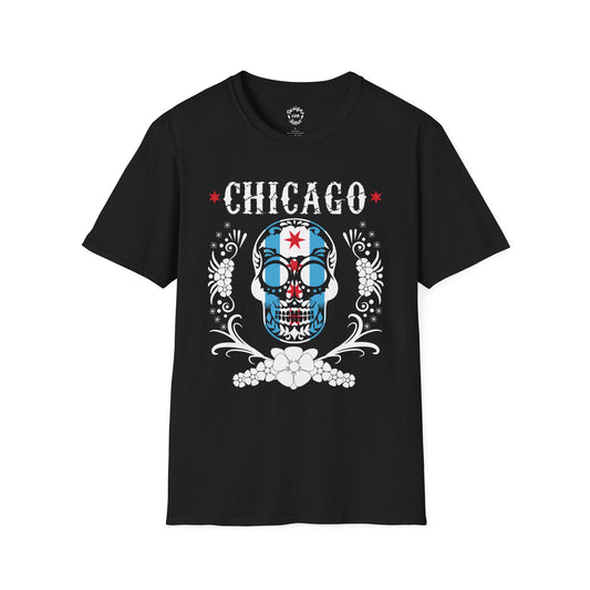 Chicago Flag In Skull (No Circle)