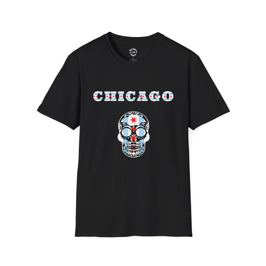 Chicago Flag & Skull